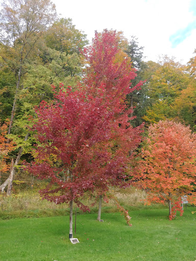 Harrison Park CAMPGROUND - Thumbnail