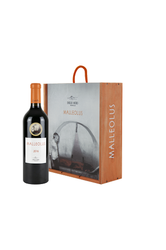 LUXURY COLLECTION GROUP DESABOR