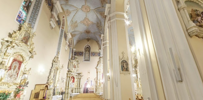 Numer telefony do Katedra pw. św. Mikołaja Biskupa