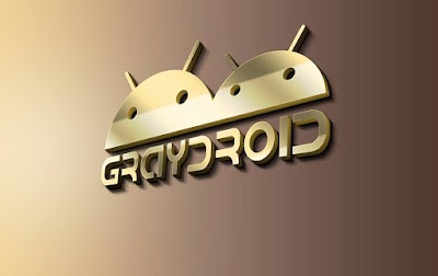 Photos of Graydroid Team