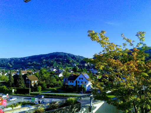 Hirschabar - Visual