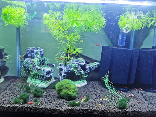 Fish-A-Pet - Thumbnail