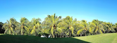 Photos of Casa Vista Verde