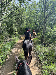 Photo n°35 de Equitation Chavetourte à Saint-Alban-Auriolles (Club équestre)