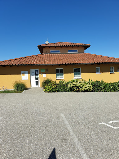 Dr. Roitner - Visual