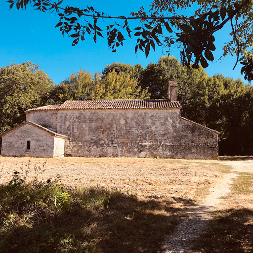 Eglise Saint-Martin de Carcès - Thumbnail