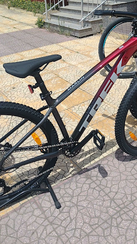 Champion Bike Shop
