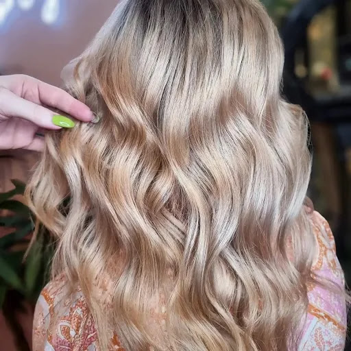Everton Park Hair and Beauty Logo