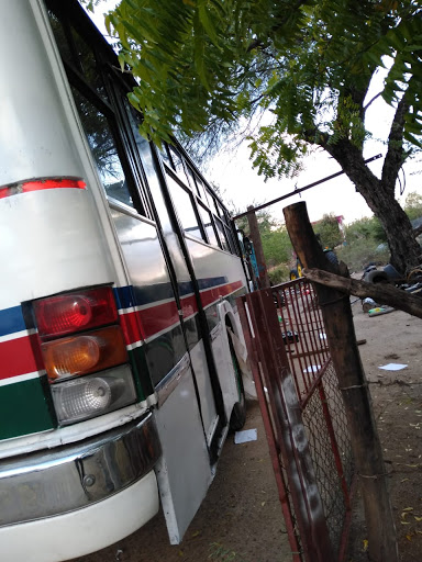Llantera "Cayito" - Visual