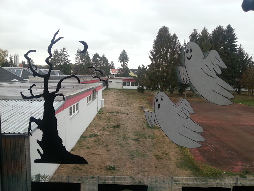 Escuela Levi