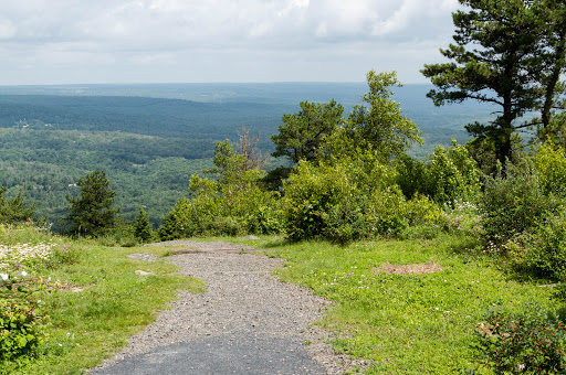 Big Pocono State Park Trail Map Big Pocono State Park Pennsylvania Destimap Destinations On Map