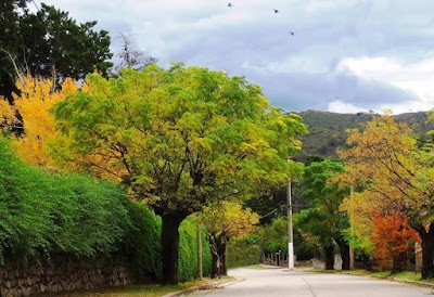 Photos of Municipality of Valle Hermoso