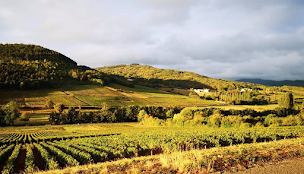 Photo n°6 de A VIN PAS DES MARCHES - Cave à vins & spiritueux La Talaudière - Caviste à La Talaudière (Caviste)