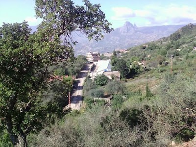 Photos of Calcanei bus stop