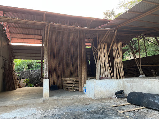 Bambú Maya