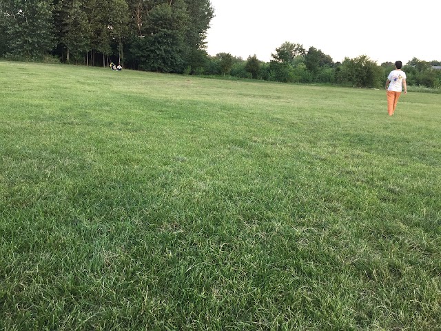 Kissena Corridor Park