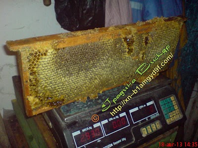 Photos of Apiary Garden Viskyar