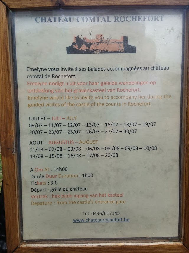 Château comtal de Rochefort