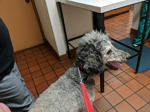 Lynn Animal Hospital - Thumbnail