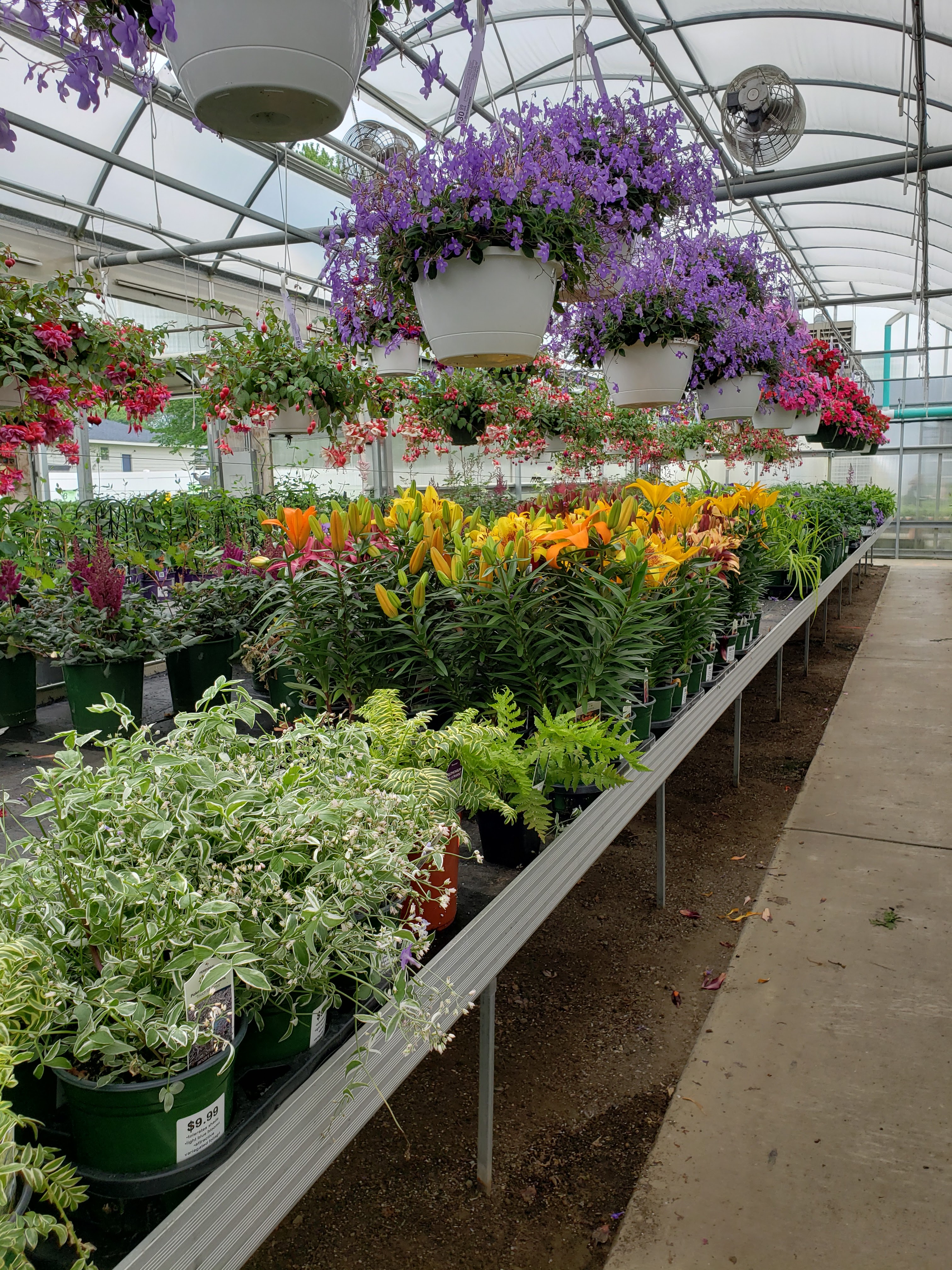 W.W. Greenhouses, Inc.
