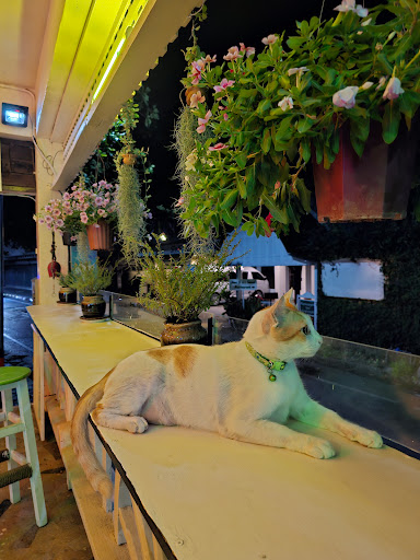 TD Bar