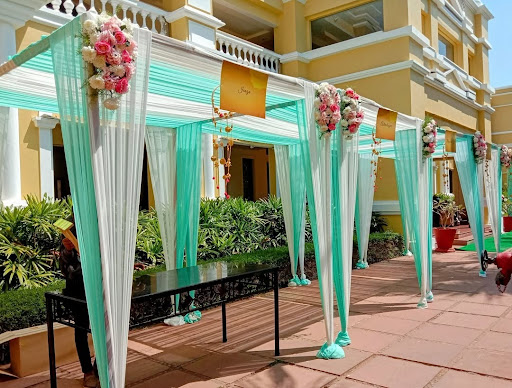 Canopy post image
