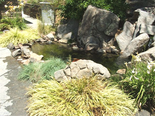 Solomon's Gardens Nursery & Landscaping