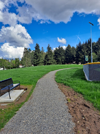 Burton Fields - Visual