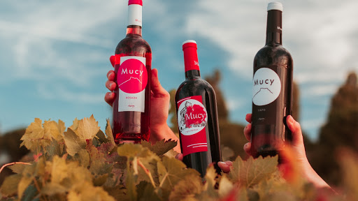 Bodegas Mucy