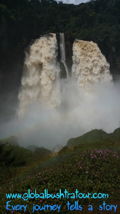Photos of Global Bush Travel and tourism Agency