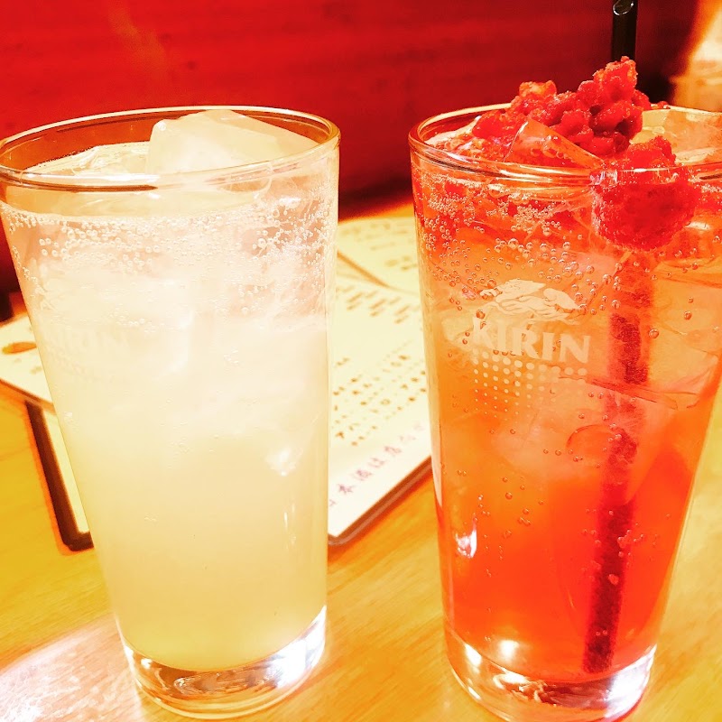 炭火焼鳥おんどり