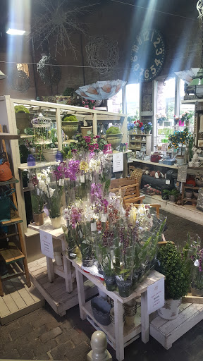 Ross Garden Store - Thumbnail