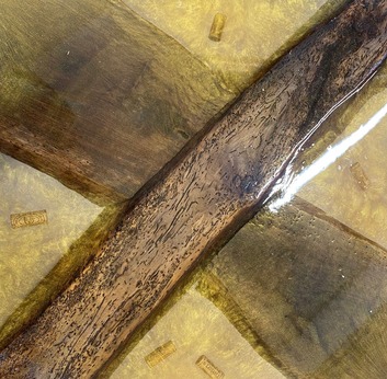 Photo de Tradition Moderne SARL à Sadirac (33670)