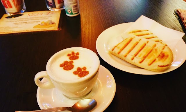 Cat Cafe