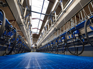 Photo n°2 de SARL AREUSSI à Forges de Lanouée (Siège social)