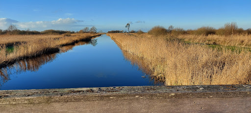 Natuurkampeerterrein De Reidplûm - Thumbnail