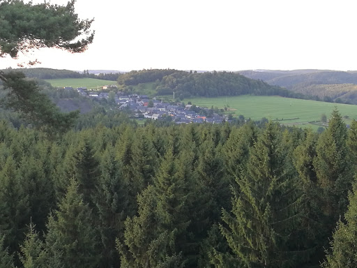 Culm, Biotop und Schieferhalde - Thumbnail