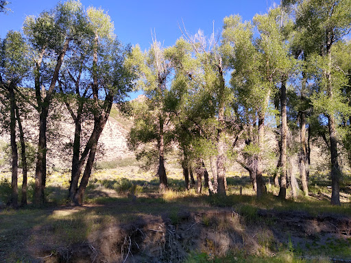 East Elk Creek Group Campground - Thumbnail