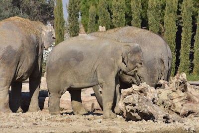 Izmir Wildlife Park