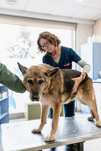Clínica Veterinària Tordera