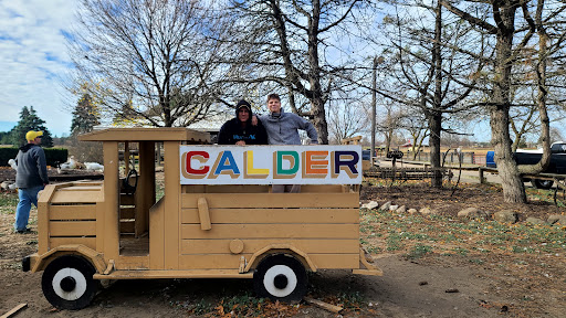 Calder Dairy and Farm