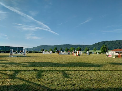 Reitverein Wingerode e.V. - Visual
