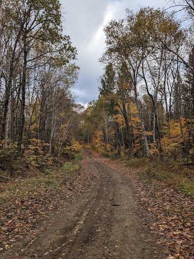 Zec St-Patrice - Thumbnail