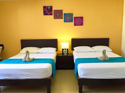 Photos of Hotel Plazha
