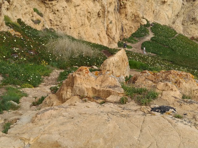 L'Île-Rousse