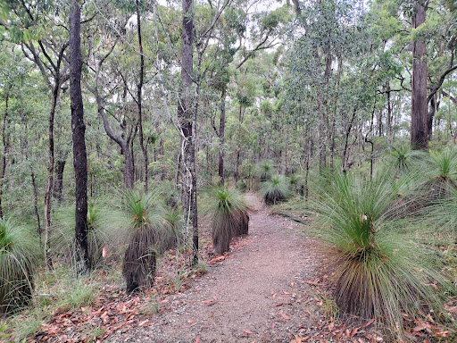 Chermside Hills Reserve - Thumbnail