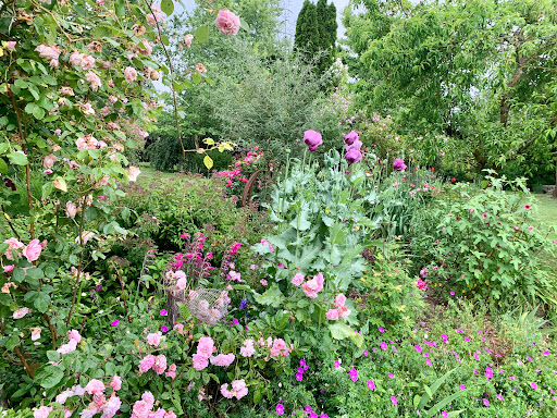 Mireille en Lot-et-Garonne Garden - Thumbnail