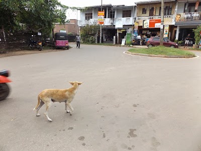 Photos of Panadura