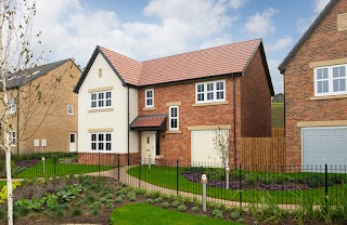 Riverbrook Gardens - Story Homes, Alnwick