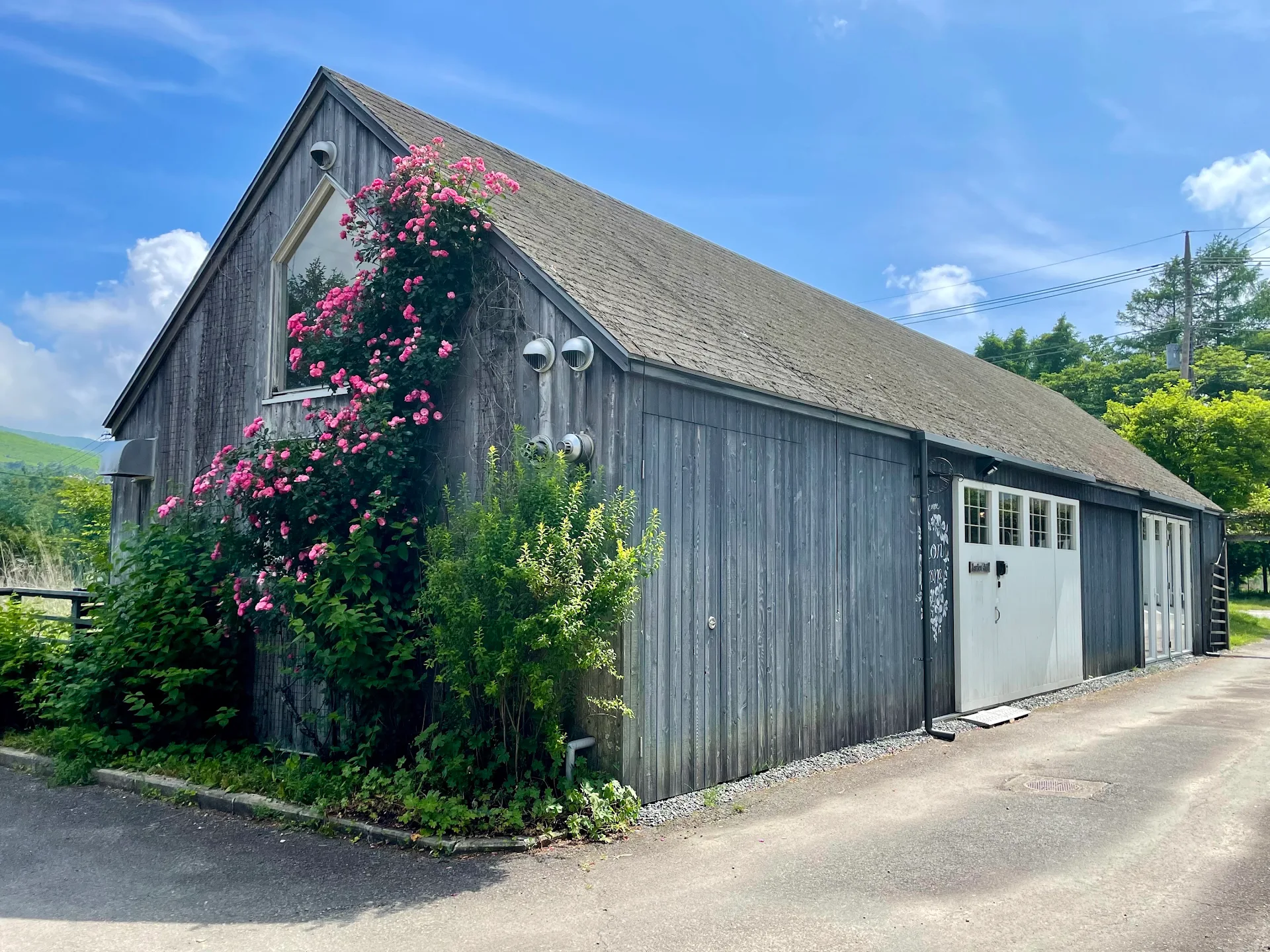 Garden Shed